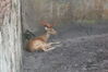Filename=20100823_052.jpg
Filesize=115KiB
Dimensions=1023x682
Date added=Sep 08, 2010 20100823_052.jpg
