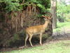 Filename=20100823_053.jpg
Filesize=227KiB
Dimensions=1024x768
Date added=Sep 08, 2010 20100823_053.jpg