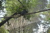 Filename=20100823_055.jpg
Filesize=276KiB
Dimensions=1023x682
Date added=Sep 08, 2010 20100823_055.jpg