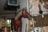 Filename=20100825_010.jpg
Filesize=156KiB
Dimensions=1023x682
Date added=Sep 08, 2010 20100825_010.jpg