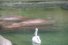 Filename=20100827_014.jpg
Filesize=127KiB
Dimensions=1023x685
Date added=Sep 08, 2010 20100827_014.jpg