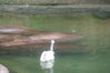 Filename=20100827_015.jpg
Filesize=122KiB
Dimensions=1023x685
Date added=Sep 08, 2010 20100827_015.jpg