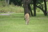 Filename=20100827_017.jpg
Filesize=142KiB
Dimensions=1023x685
Date added=Sep 08, 2010 20100827_017.jpg