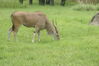 Filename=20100827_018.jpg
Filesize=175KiB
Dimensions=1023x685
Date added=Sep 08, 2010 20100827_018.jpg