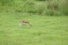 Filename=20100827_023.jpg
Filesize=152KiB
Dimensions=1023x685
Date added=Sep 08, 2010 20100827_023.jpg