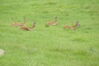 Filename=20100827_025.jpg
Filesize=139KiB
Dimensions=1023x685
Date added=Sep 08, 2010 20100827_025.jpg
