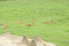 Filename=20100827_026.jpg
Filesize=157KiB
Dimensions=1023x685
Date added=Sep 08, 2010 20100827_026.jpg