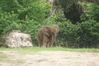 Filename=20100827_034.jpg
Filesize=179KiB
Dimensions=1023x685
Date added=Sep 08, 2010 20100827_034.jpg