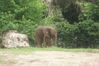 Filename=20100827_035.jpg
Filesize=179KiB
Dimensions=1023x685
Date added=Sep 08, 2010 20100827_035.jpg
