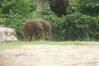 Filename=20100827_037.jpg
Filesize=169KiB
Dimensions=1023x685
Date added=Sep 08, 2010 20100827_037.jpg