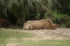Filename=20100827_039.jpg
Filesize=164KiB
Dimensions=1023x685
Date added=Sep 08, 2010 20100827_039.jpg