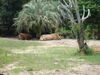 Filename=20100827_040.jpg
Filesize=179KiB
Dimensions=1024x768
Date added=Sep 08, 2010 20100827_040.jpg