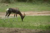 Filename=20100827_049.jpg
Filesize=149KiB
Dimensions=1023x685
Date added=Sep 08, 2010 20100827_049.jpg