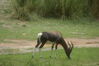 Filename=20100827_051.jpg
Filesize=155KiB
Dimensions=1023x685
Date added=Sep 08, 2010 20100827_051.jpg