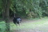 Filename=20100827_052.jpg
Filesize=222KiB
Dimensions=1023x685
Date added=Sep 08, 2010 20100827_052.jpg