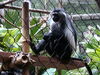 Filename=20100827_061.jpg
Filesize=201KiB
Dimensions=1024x768
Date added=Sep 08, 2010 20100827_061.jpg