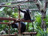 Filename=20100827_062.jpg
Filesize=293KiB
Dimensions=1024x768
Date added=Sep 08, 2010 20100827_062.jpg