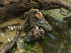 Filename=20100827_063.jpg
Filesize=200KiB
Dimensions=1024x768
Date added=Sep 08, 2010 20100827_063.jpg