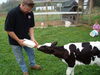 Filename=20100925_007.jpg
Filesize=213KiB
Dimensions=1024x768
Date added=Nov 20, 2010 20100925_007.jpg