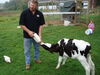 Filename=20100925_008.jpg
Filesize=197KiB
Dimensions=1024x768
Date added=Nov 20, 2010 20100925_008.jpg