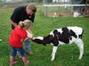 Filename=20100925_009.jpg
Filesize=216KiB
Dimensions=1024x768
Date added=Nov 20, 2010 20100925_009.jpg