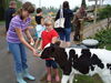 Filename=20100925_012.jpg
Filesize=202KiB
Dimensions=1024x768
Date added=Nov 20, 2010 20100925_012.jpg