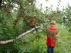 Filename=20100925_013.jpg
Filesize=250KiB
Dimensions=1024x768
Date added=Nov 20, 2010 20100925_013.jpg