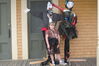 Filename=20101002_009.jpg
Filesize=128KiB
Dimensions=1023x682
Date added=May 16, 2011 20101002_009.jpg