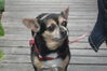 Filename=20101002_017.jpg
Filesize=110KiB
Dimensions=1023x682
Date added=May 16, 2011 20101002_017.jpg