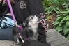 Filename=20101002_018.jpg
Filesize=167KiB
Dimensions=1023x682
Date added=May 16, 2011 20101002_018.jpg