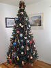 Filename=20101128_001.jpg
Filesize=136KiB
Dimensions=768x1024
Date added=Dec 07, 2010 20101128_001.jpg