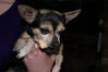 Filename=20110125_001.jpg
Filesize=116KiB
Dimensions=1023x685
Date added=Apr 25, 2011 20110125_001.jpg