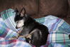 Filename=20110201_003.jpg
Filesize=200KiB
Dimensions=1023x685
Date added=Apr 25, 2011 20110201_003.jpg