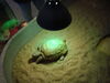 Filename=20110216_001.jpg
Filesize=121KiB
Dimensions=1024x768
Date added=Apr 25, 2011 20110216_001.jpg