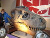 Filename=20110216_003.jpg
Filesize=159KiB
Dimensions=1024x768
Date added=Apr 25, 2011 20110216_003.jpg
