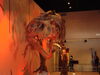 Filename=20110216_006.jpg
Filesize=113KiB
Dimensions=1024x768
Date added=Apr 25, 2011 20110216_006.jpg