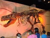 Filename=20110216_007.jpg
Filesize=143KiB
Dimensions=1024x768
Date added=Apr 25, 2011 20110216_007.jpg