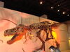 Filename=20110216_008.jpg
Filesize=132KiB
Dimensions=1024x768
Date added=Apr 25, 2011 20110216_008.jpg