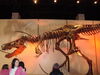 Filename=20110216_009.jpg
Filesize=131KiB
Dimensions=1024x768
Date added=Apr 25, 2011 20110216_009.jpg
