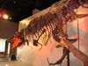 Filename=20110216_010.jpg
Filesize=152KiB
Dimensions=1024x768
Date added=Apr 25, 2011 20110216_010.jpg