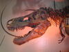 Filename=20110216_011.jpg
Filesize=135KiB
Dimensions=1024x768
Date added=Apr 25, 2011 20110216_011.jpg