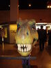 Filename=20110216_019.jpg
Filesize=159KiB
Dimensions=768x1024
Date added=Apr 25, 2011 20110216_019.jpg