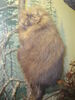 Filename=20110216_028.jpg
Filesize=179KiB
Dimensions=768x1024
Date added=Apr 25, 2011 20110216_028.jpg