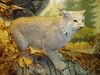 Filename=20110216_030.jpg
Filesize=194KiB
Dimensions=1024x768
Date added=Apr 25, 2011 20110216_030.jpg