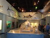 Filename=20110216_035.jpg
Filesize=139KiB
Dimensions=1024x768
Date added=Apr 25, 2011 20110216_035.jpg