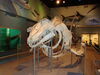 Filename=20110216_036.jpg
Filesize=154KiB
Dimensions=1024x768
Date added=Apr 25, 2011 20110216_036.jpg
