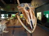 Filename=20110216_038.jpg
Filesize=151KiB
Dimensions=1024x768
Date added=Apr 25, 2011 20110216_038.jpg
