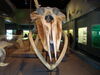 Filename=20110216_040.jpg
Filesize=138KiB
Dimensions=1024x768
Date added=Apr 25, 2011 20110216_040.jpg