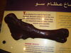 Filename=20110216_043.jpg
Filesize=124KiB
Dimensions=1024x768
Date added=Apr 25, 2011 20110216_043.jpg