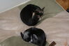 Filename=20110424_018.jpg
Filesize=127KiB
Dimensions=1023x685
Date added=Apr 25, 2011 20110424_018.jpg